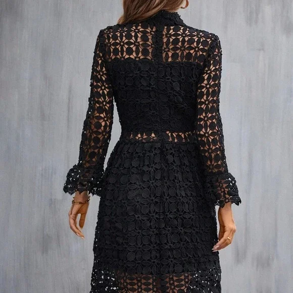 Elegant French Fit-n-Flare Cut Romantic Gupuire Lace Paneled Dress All Black - Picture 3 of 10